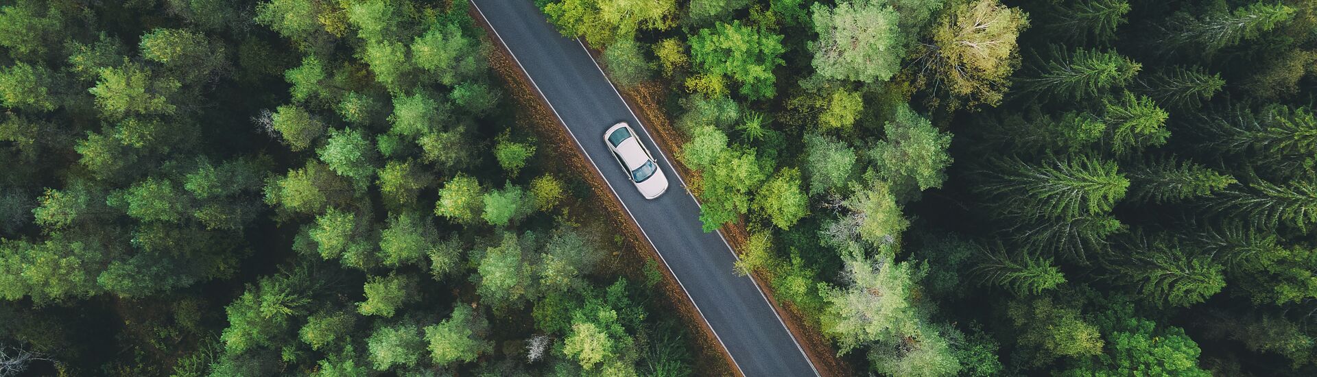 CONSTRUINT COMUNITATS SOSTENIBLES: CONNECTANT PERSONES I RECURSOS