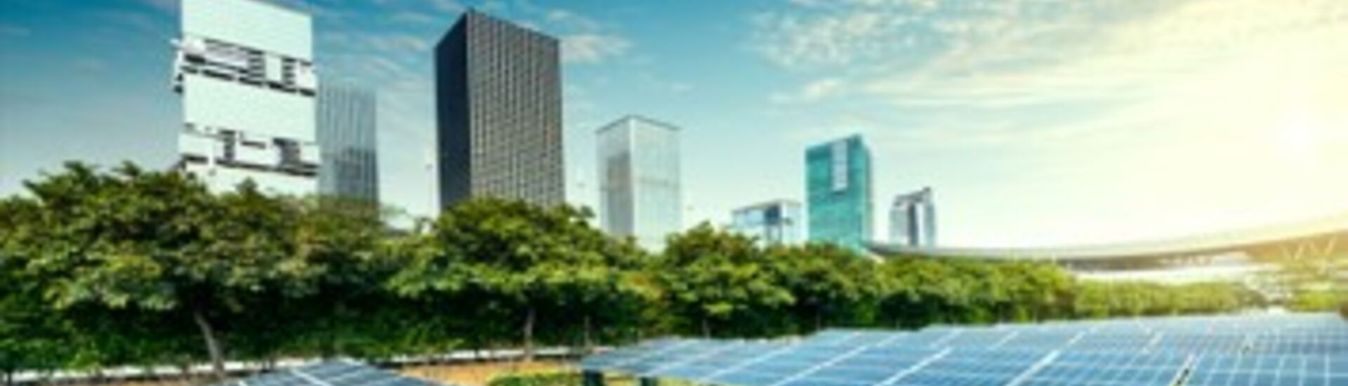 CEL Un modelo de energía más sostenible