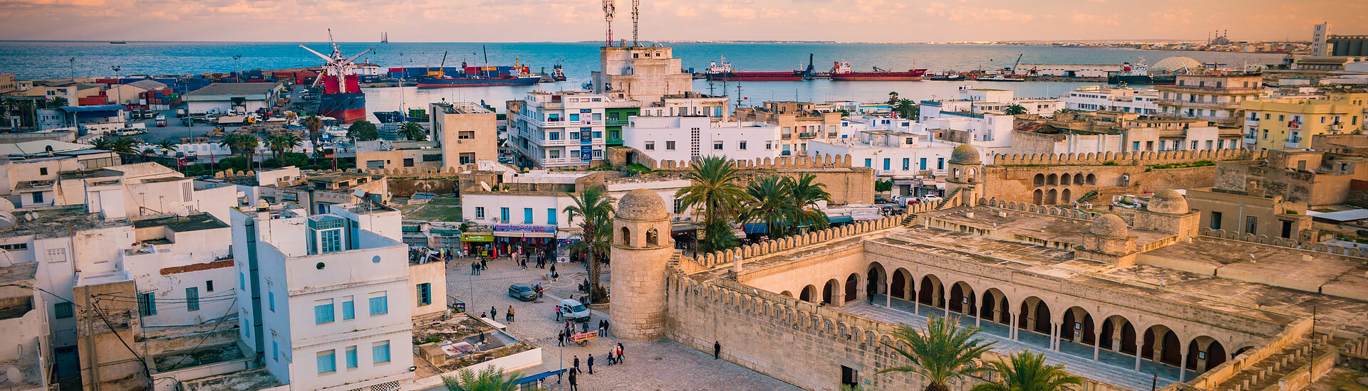 Oportunidades de Negocio en Túnez_