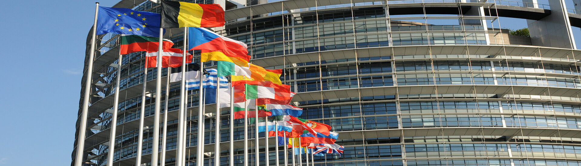 IVA INTRACOMUNITARIO