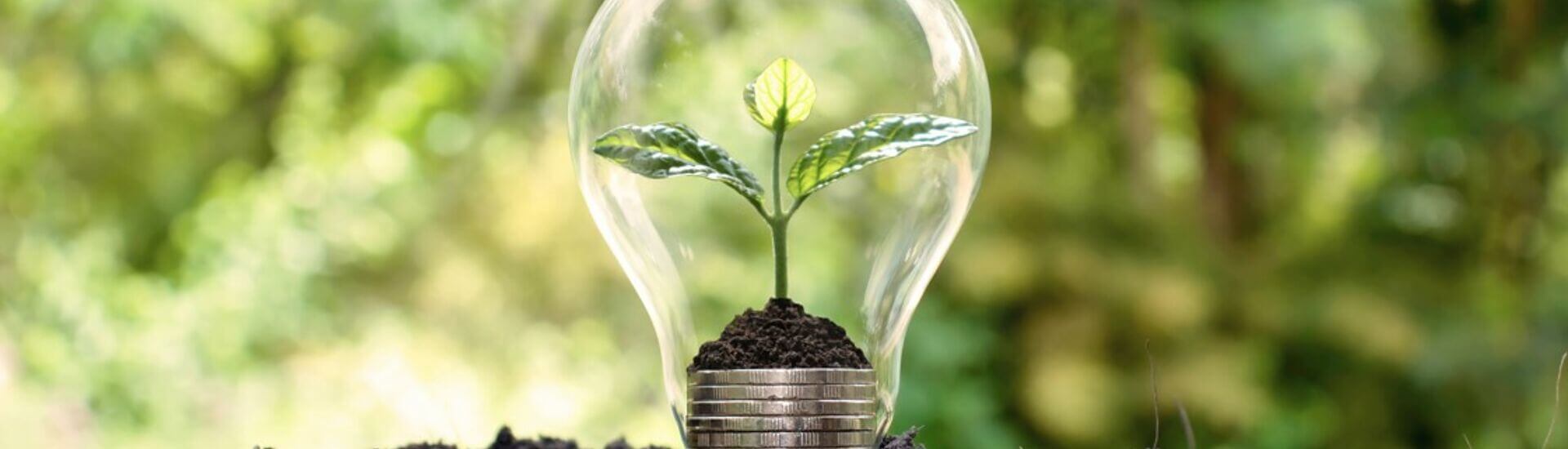 Energía: Soluciones de financiación y ahorro en la empresa valenciana