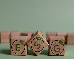 Cómo realizar una Estrategia de Sostenibilidad paso a paso.