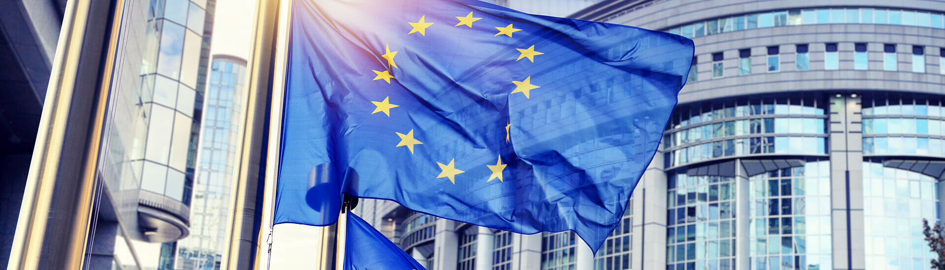 Maratón Ayudas Sostenibilidad 2025:  planifica los proyectos e inversiones de tu empresa