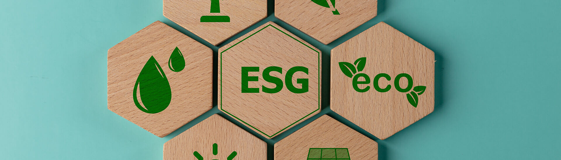 El reporting de sostenibilidad  en 2025: la Directiva CSRD – VSME