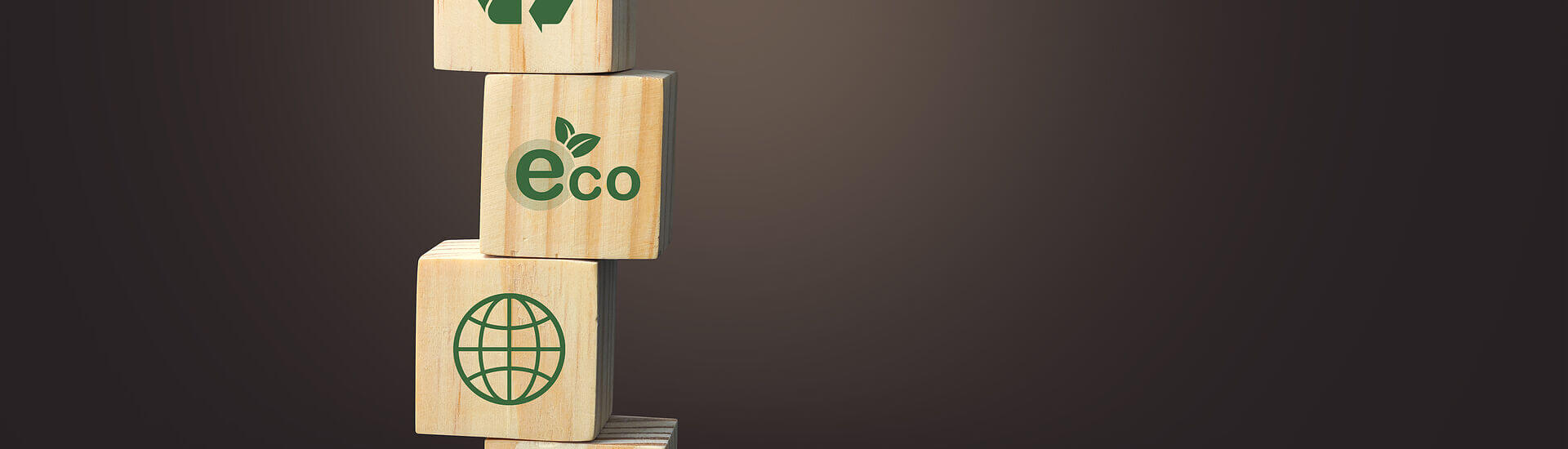 El Estudio de Minimización de Residuos