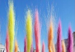 Mascletá y picaeta AUREN