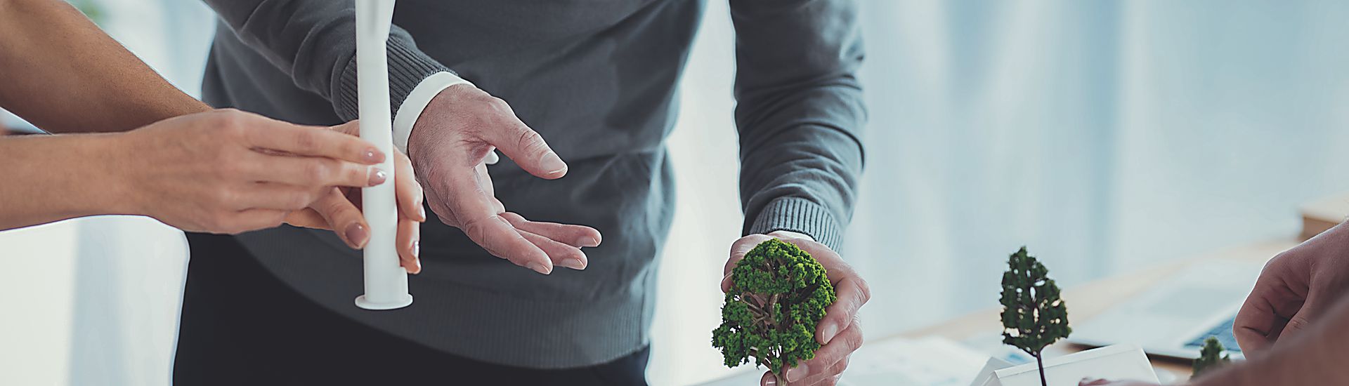 Elaboración de Ofertas y Licitaciones Medioambientales con el Sector Público