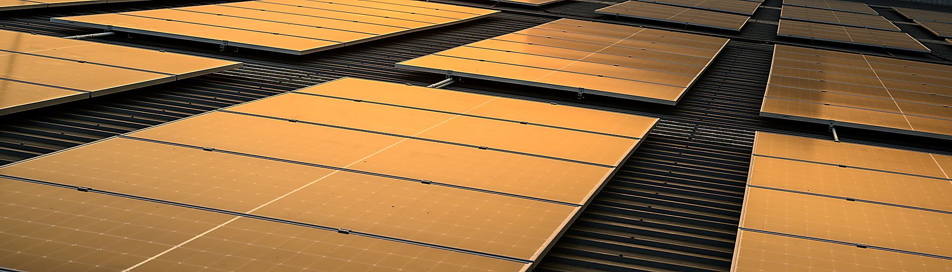 Novedades en la gestión de la huella de carbono de la empresa valenciana