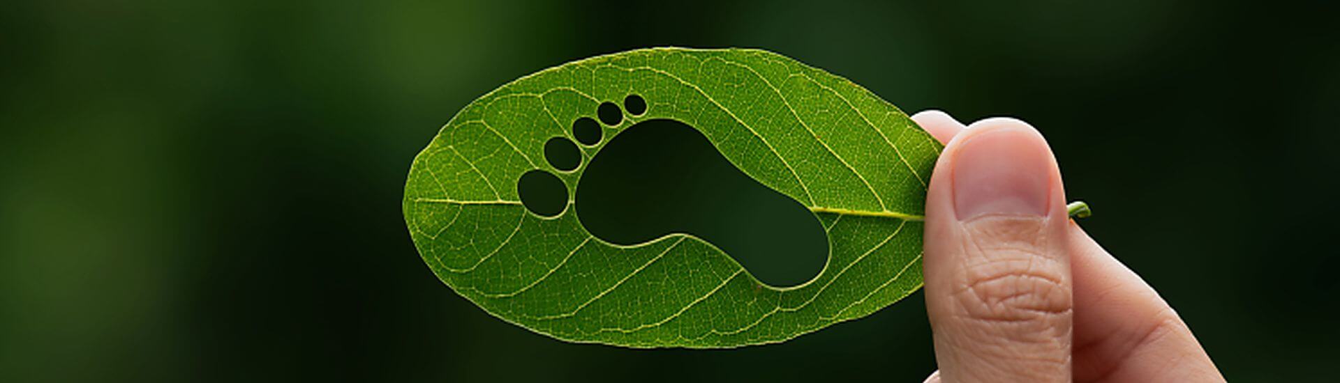 La Huella de Carbono: cálculo, inversión y casos prácticos.