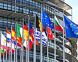 Exigencias del mercado europeo para la compra de productos.