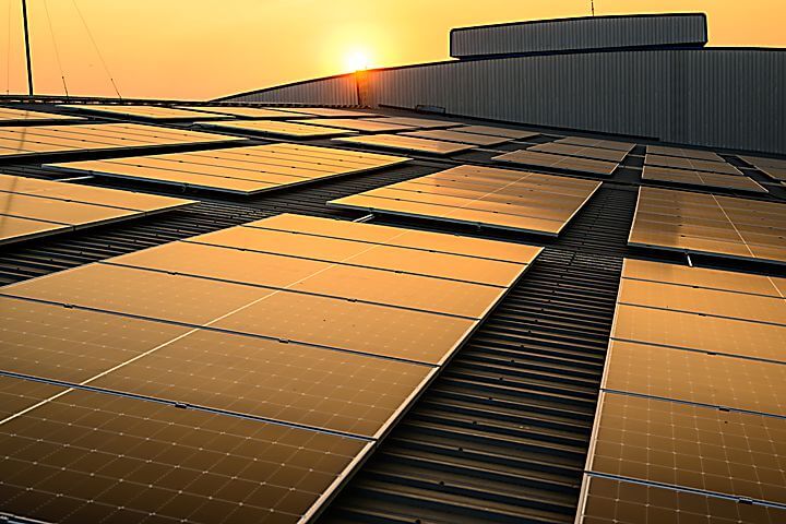 Novedades en la gestión de la huella de carbono de la empresa valenciana