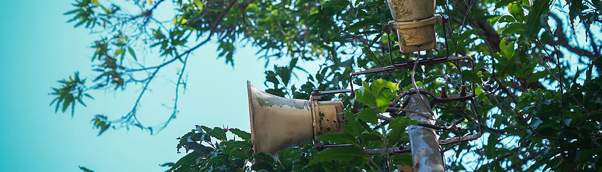 Estándares voluntarios de sostenibilidad para pymes (VSME): desarrollo, comunicación y marketing