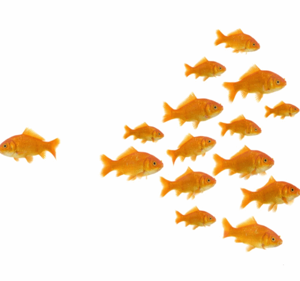 ATREVETE A SER DIFERENTE. ENCUENTAR TU NICHO DE MERCADO.