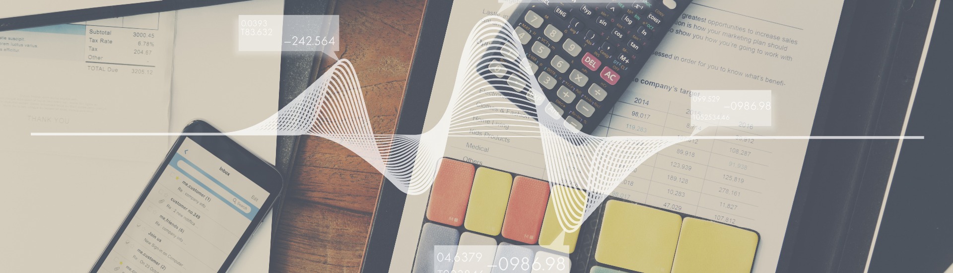 El control de los riesgos económicos y financieros de la empresa