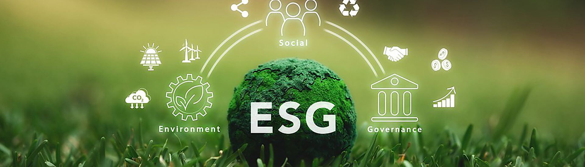 Situación actual de la  Directiva CSRD – estándar VSME.