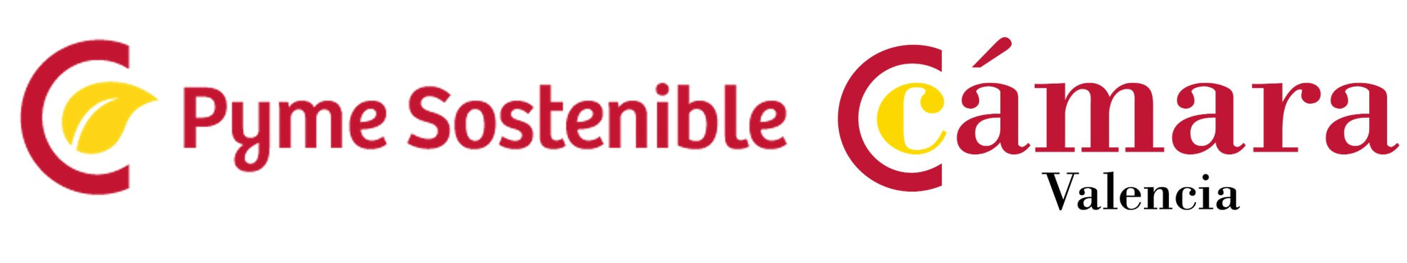 PYME SOSTENIBLE+CV
