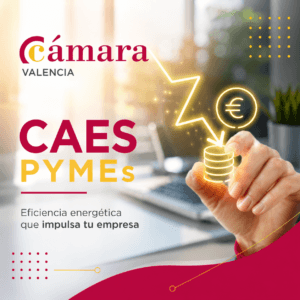 CAEs Pymes 2026